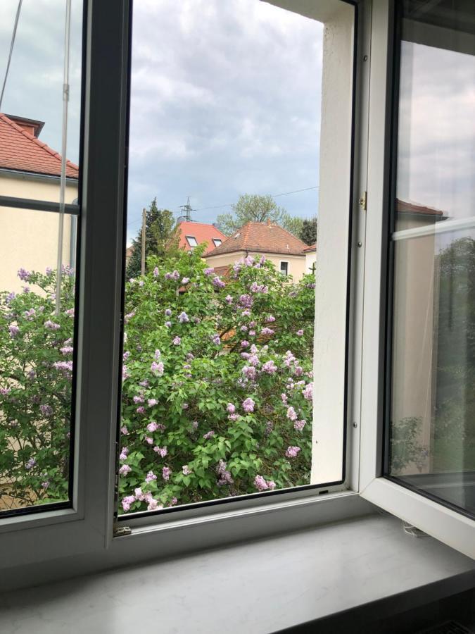 Wohlfuehloase Dresden Nickern Apartment Exterior photo